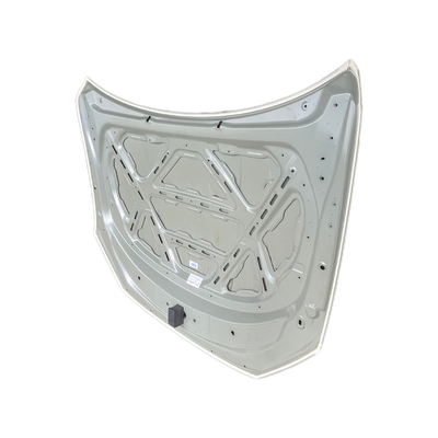 BYD Car Fitment Hood per Qin PRO/PLUS HAD-8402010/70 Honeycomb Style Accessorio OEM