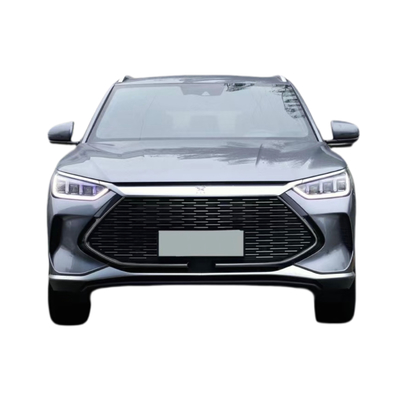 1600*300*540mm BYD SONG PLUS DM-I Sistema di copertura del corpo dell'auto Accessori Center Grid OEM SA3HE-2803700
